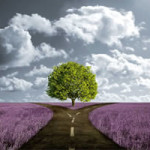 How Free Will Affects a Psychic Prediction
